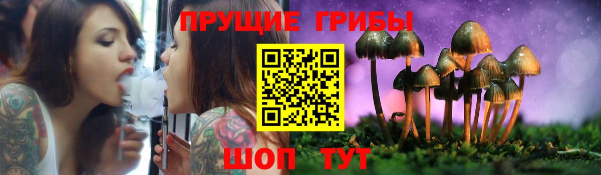 Галлюциногенные грибы Psilocybine cubensis  Вход с VPN  Севастополь 